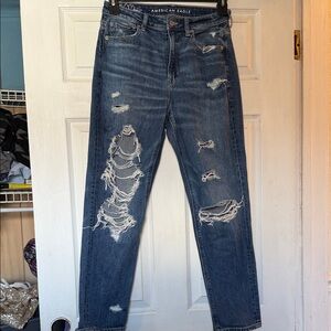 American Eagle Outfitters Embroidered Strigid Mom Jean